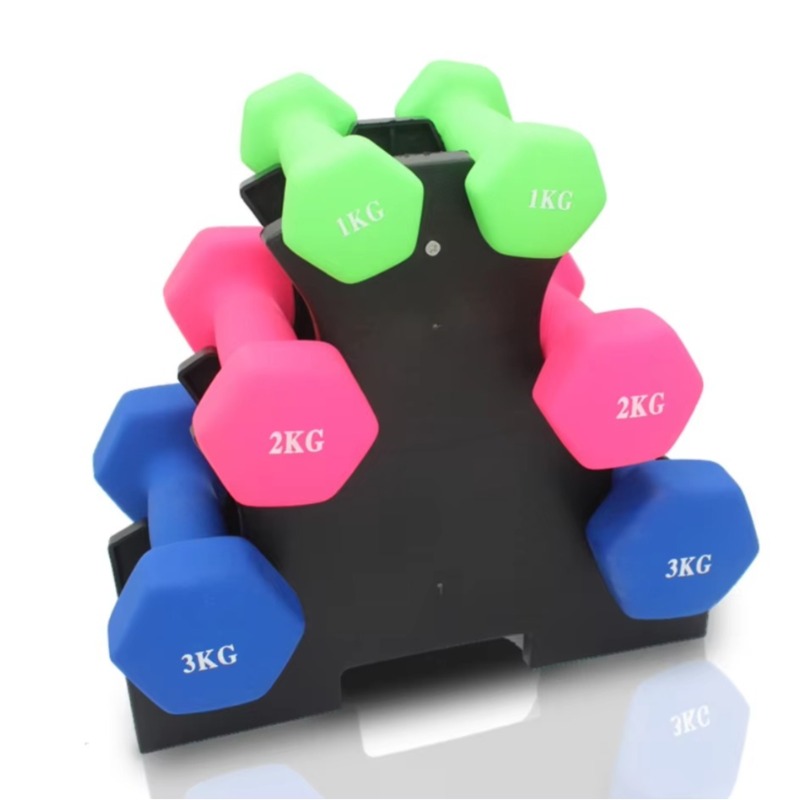 3-Tier  Dumbbell Storage Rack  - đánh giá và giá Home Gym Gym