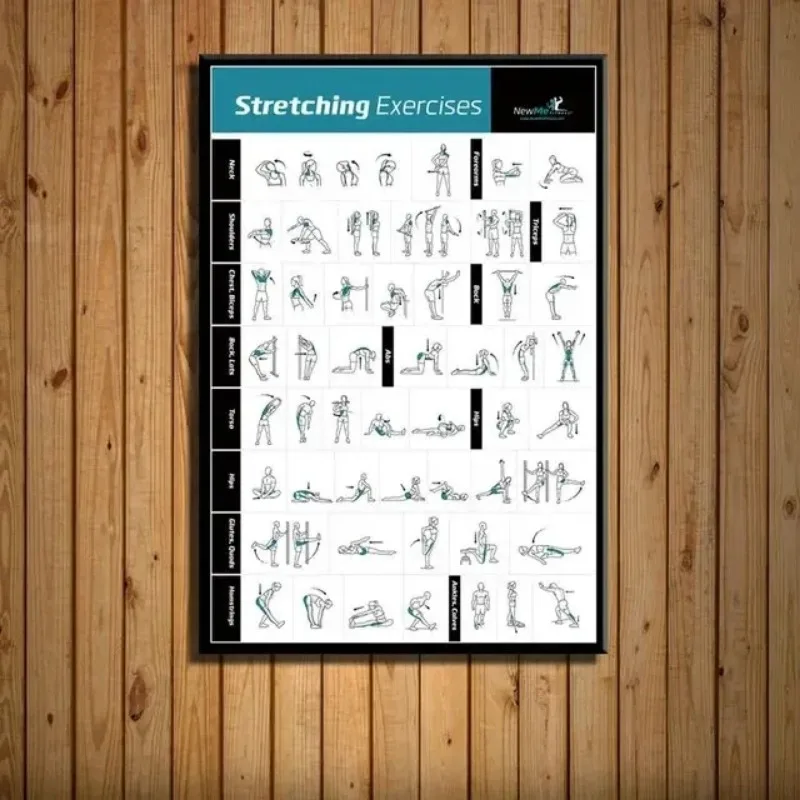 Body Exercise Training Chart G - đánh giá và giá Home Gym Minimalist