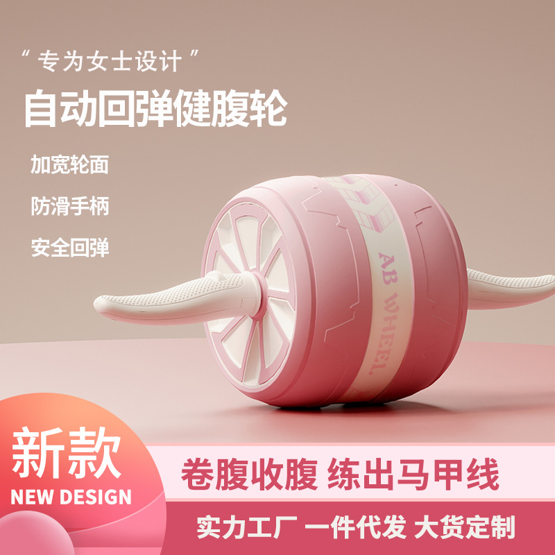 Quiet AB Wheel Roller Home Gym - đánh giá và giá Home Gym Second