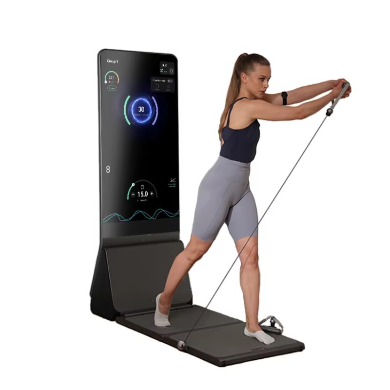 Home Gym Cable Machine Electri - đánh giá và giá Home Gym Electric Machine