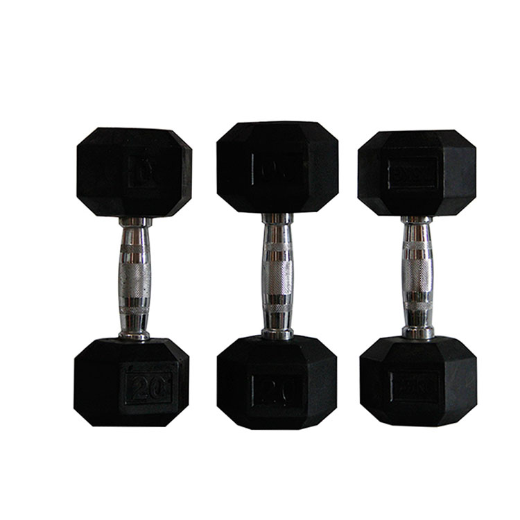 Hex Rubber Dumbbell Sets / Dum - đánh giá và giá Hex Dumbbell Set